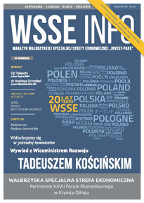 WSSE INFO 3-13 PL okladka